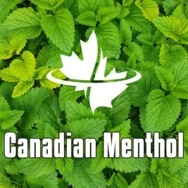 mint leaves background with text "canadian menthol"