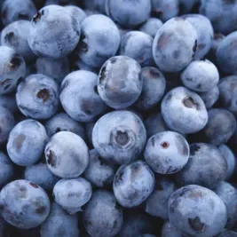 Fresh blueberries.
