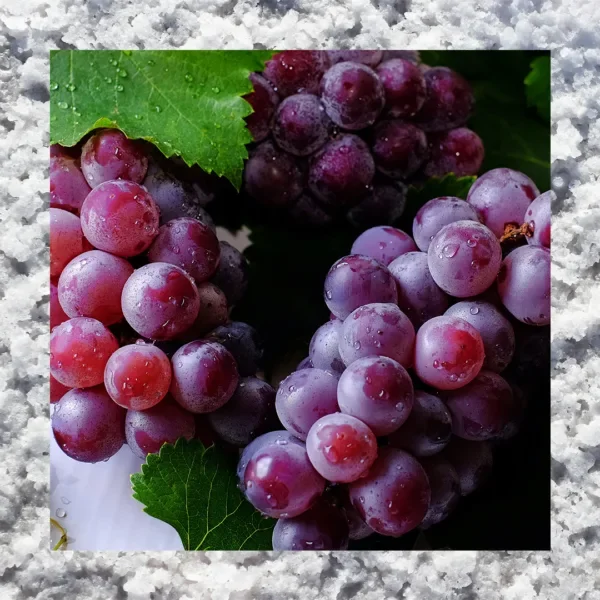 Fresh grapes on a vine with a salt border.