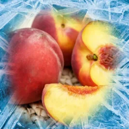 Icey Peaches.