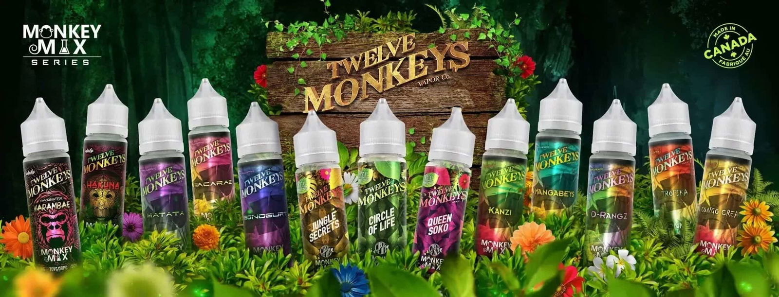 Twelve Monkeys